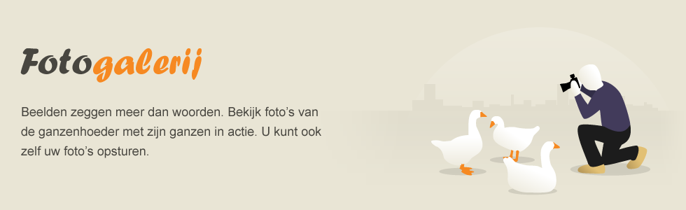 banner_fotogalerij
