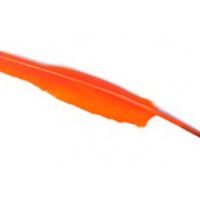 Ganzenveren pen Oranje - Afbeelding 2