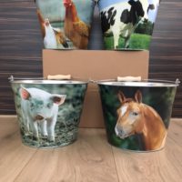 Boerderij dieren emmer Varken - Afbeelding 2