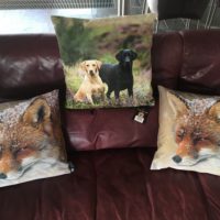 Dieren kussen Labradors 45 x 45 cm - Afbeelding 2