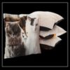 Kussen Katten trio - Afbeelding 2