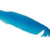 Ganzenverenpen licht blauw 10 stuks - Afbeelding 2