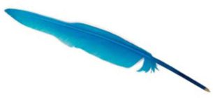 Ganzenverenpen licht blauw 10 stuks