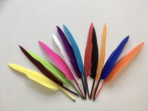 Ganzenveren Pen (5 Stuks)