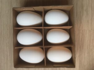 Ganzen eieren 6 stuks