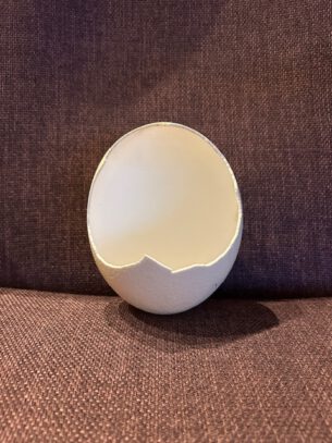 Struisvogel ei halve schaal